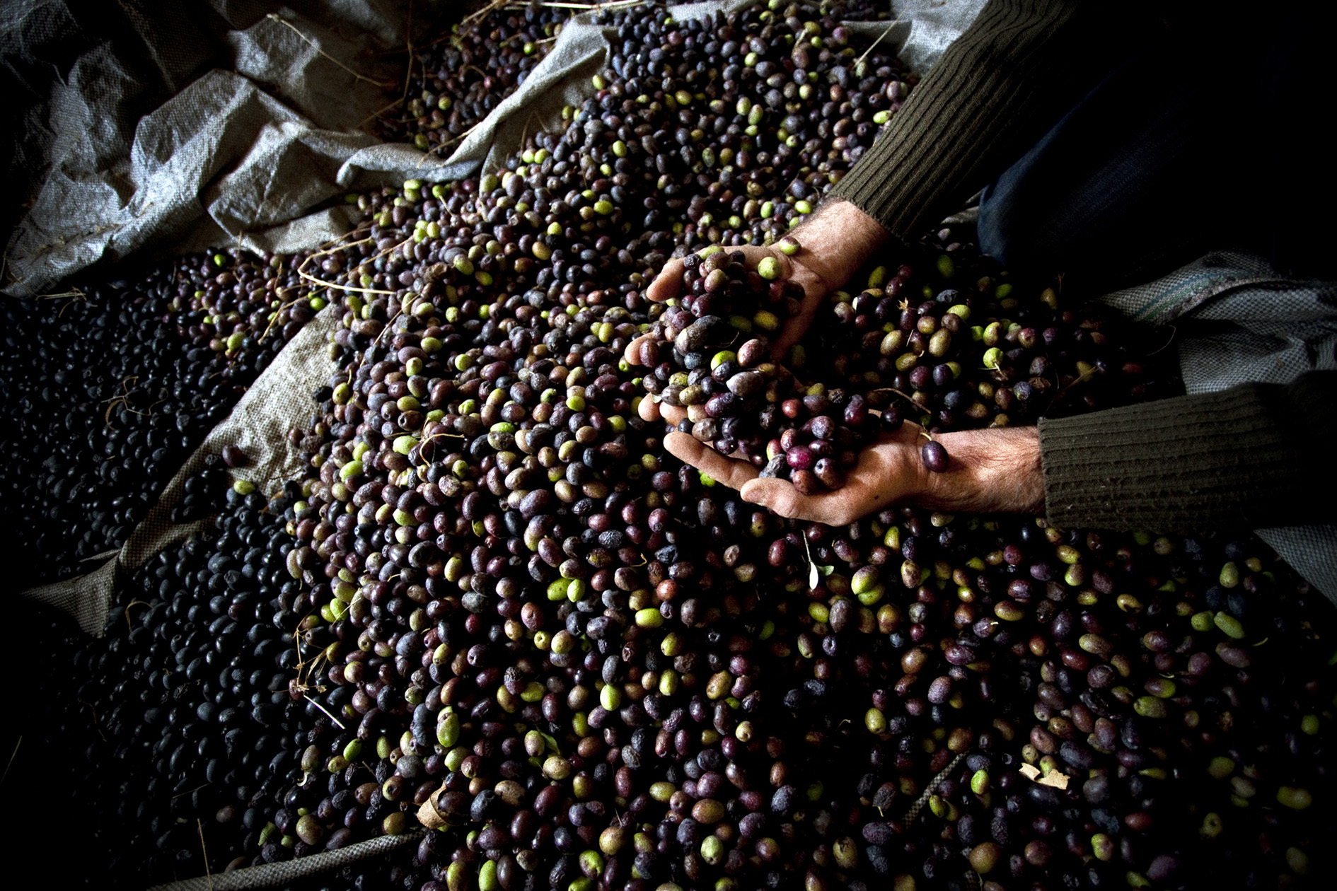 Τα ελληνικά ντοκιμαντέρ του 15ου Φεστιβάλ Ντοκιμαντέρ Θεσσαλονίκης